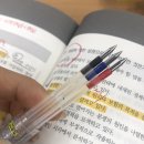 월s간 윤서진 ㅎ