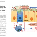 아미코젠㈜ 이미지