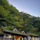 산장여관 | DAY-3, 가고시마-야쿠시마 5박6일 여행 : 야쿠시마편(아라카와등산로-윌슨그루터기-조몬스기-산장1박)