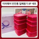 타파웨어세계로 | 타파웨어 반찬통 밀폐용기 8P 내돈내산 후기, 냉장고 정리용으로 만족한 이유