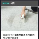 클링클링세탁소 | 보아르 미스팀클링 습식청소기 후기, 3가지 청소 모드로 침구부터 소파까지 완벽 케어!