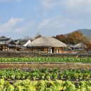 선유마을민박 | 안동 하회마을 예매 입장료 무료 부용대 여행코스 짐보관 셔틀버스