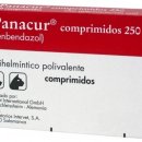 아포동물약국 이미지