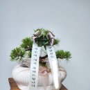 해송약국 네이버블로그
