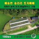 진두루농장 네이버블로그