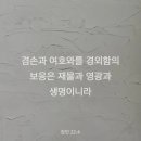 오늘, 제주 네이버블로그