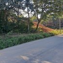 운천역공인중개사사무소 이미지