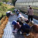 세종플라자 이미지