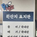 금어 어탕 이미지