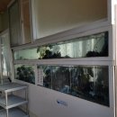 대밭횟집 이미지