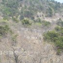 국영목장 이미지