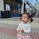 행복한 광이네 이미지