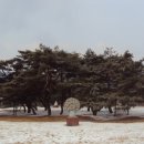 솔밭 1994 네이버블로그