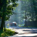 광릉수목원로 이미지