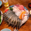 즉석상회 | 광안리 술집 추천 제철 생새우회 맛집 럭키상회 광안점 후기