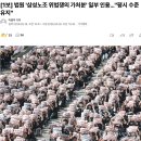 (주)티엠엑스홀딩스 | 현재 주식 시장은 위기가 기회 리밸런싱 하기 좋은 타이밍! Tiger200IT 레버리지 투자 후기