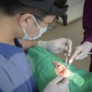 보스톤청플란트치과의원 이미지