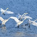 귀거래사 이미지