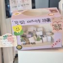 설렘고양이카페 | 영천 디저트 맛집 설렘디저트카페 영천점 후기