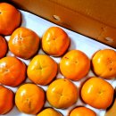 민재농장 이미지