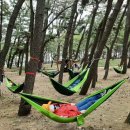 포항시남구19 이미지