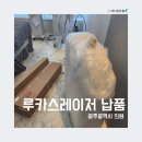 아폴로 메디칼 네이버블로그