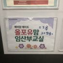 올포유충북 | 청주 올포유맘 임산부교실(산모교실) 솔직후기