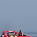 흥도초교 이미지