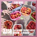 (주)초록배낭 이미지