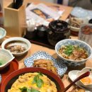 2017. 3. 29 ~ 4. 8. 간사이 여행기 7부 - 유포니엄 성지순례 계속(2)+신칸센 역주행