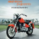 데이스타 이미지