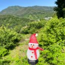 섬진강 더골드 이미지