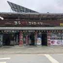 조은한우암소