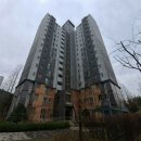 수원-1226 이미지