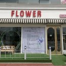포튜나에스플라워 이미지