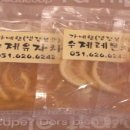 가베향