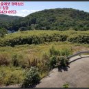 고정1리 노인회관 이미지