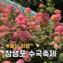 종점다방 - 포천시 운천안길 31-3 | 울산 장생포 웨일즈카트 모노레일 고래문화마을 수국축제 실시간 여행 코스 추천!