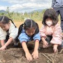 샘물농장 2 이미지