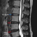 서울베스트외과의원 이미지