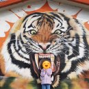 오계농장 | 강릉여행:) 강릉 옥계 쌍둥이동물농장 재방문