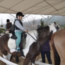 성무합기도 이미지