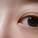 수아의뜰