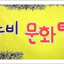 가야누비