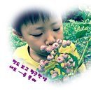 백암농장 이미지