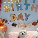 짱블리 짱금이 이미지