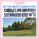 [SNS홍보단] 여름날 더욱 매력적인 보라매공원 방문 후기
