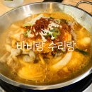 수리랑바비랑 이미지