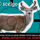 Caccia, il Pd si allinea alla Lega 이미지