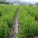 풍경농장 이미지